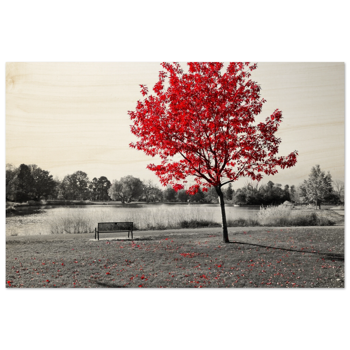 f8079b58-045a-43e9-b0af-5e92c116fa23