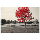 f8079b58-045a-43e9-b0af-5e92c116fa23
