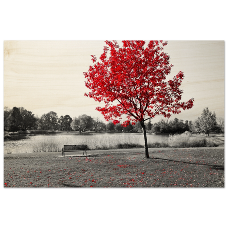 f8079b58-045a-43e9-b0af-5e92c116fa23