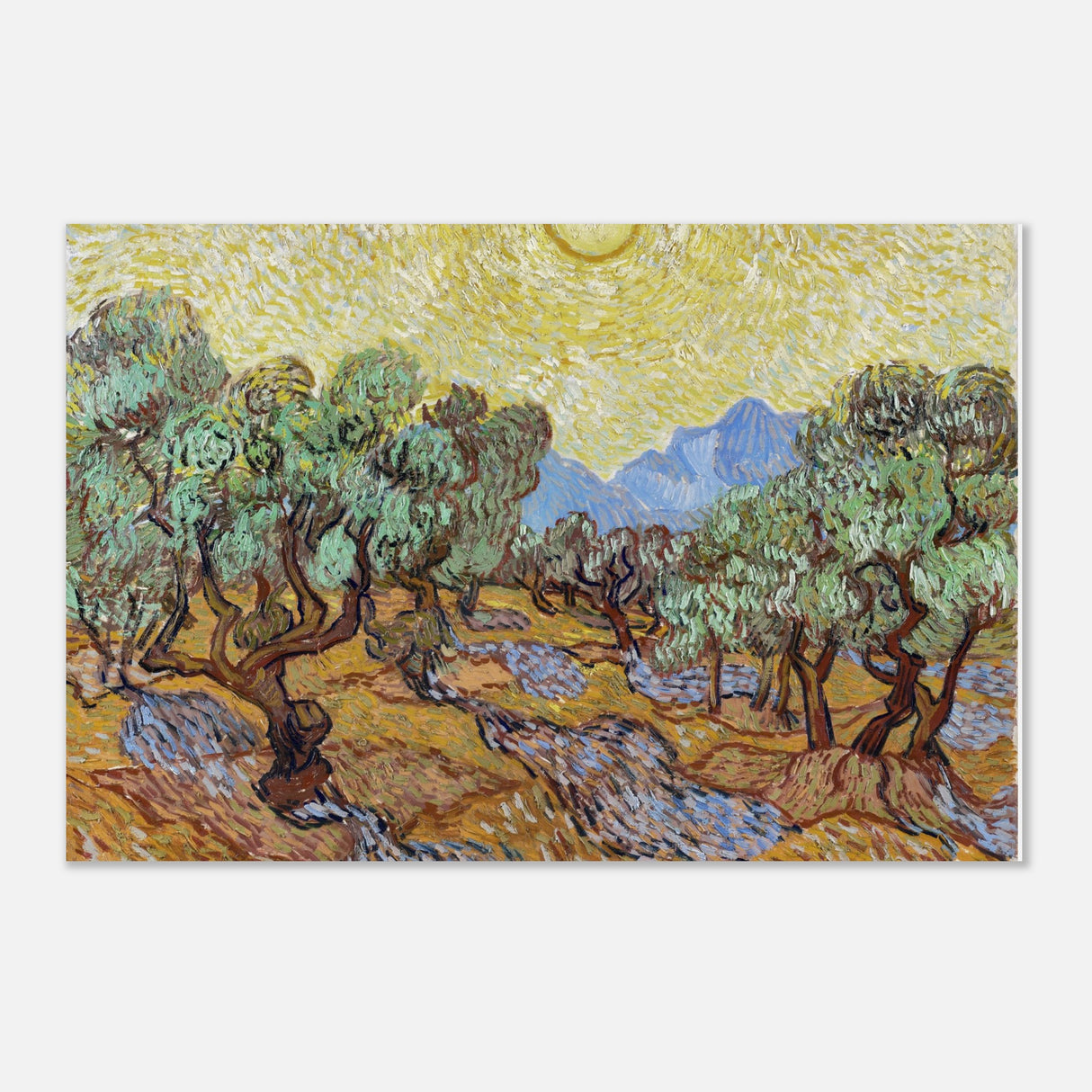 olive trees with yellow sky and sun by vincent van gogh wall art