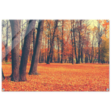 golden silence in autumn a tranquil forest escape wall art print20x30 cm / 8x12″Framed Canvas