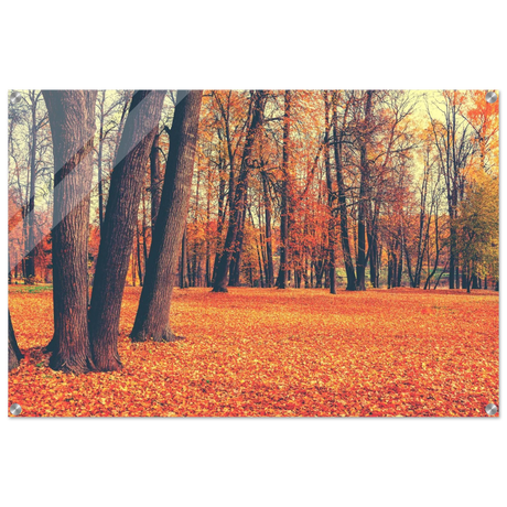 golden silence in autumn a tranquil forest escape wall art print20x30 cm / 8x12″Framed Canvas