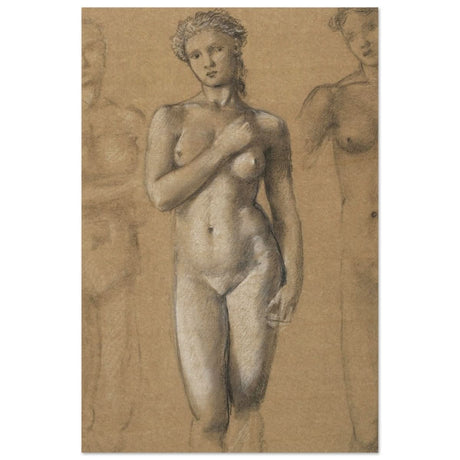 Female Nude Three Studies by Sir Edward Burne - Jones | Vintage wall art print - Wood Prints - 50x75 cm / 20x30″ - 