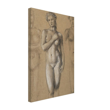 Female Nude Three Studies by Sir Edward Burne - Jones | Vintage wall art print - Canvas - 30x45 cm / 12x18″ - 