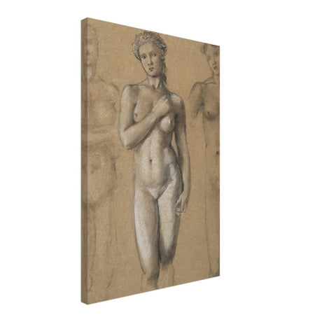 Female Nude Three Studies by Sir Edward Burne - Jones | Vintage wall art print - Canvas - 40x60 cm / 16x24″ - 