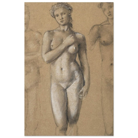 Female Nude Three Studies by Sir Edward Burne - Jones | Vintage wall art print - Aluminum Print - 30x45 cm / 12x18″ - 