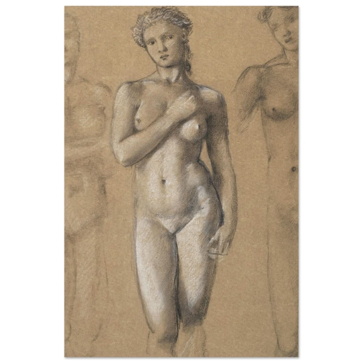 Female Nude Three Studies by Sir Edward Burne - Jones | Vintage wall art print - Aluminum Print - 40x60 cm / 16x24″ - 