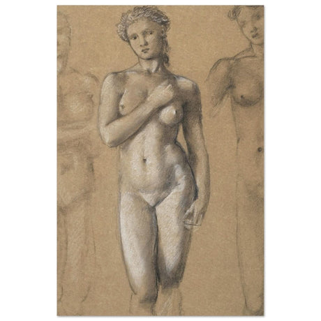 Female Nude Three Studies by Sir Edward Burne - Jones | Vintage wall art print - Aluminum Print - 40x60 cm / 16x24″ - 