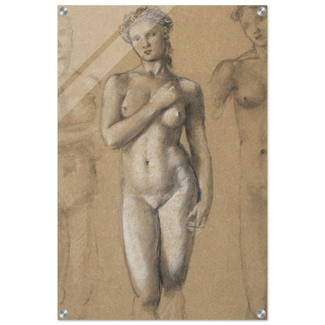 Female Nude Three Studies by Sir Edward Burne - Jones | Vintage wall art print - Acrylic Print - 50x75 cm / 20x30″ - 