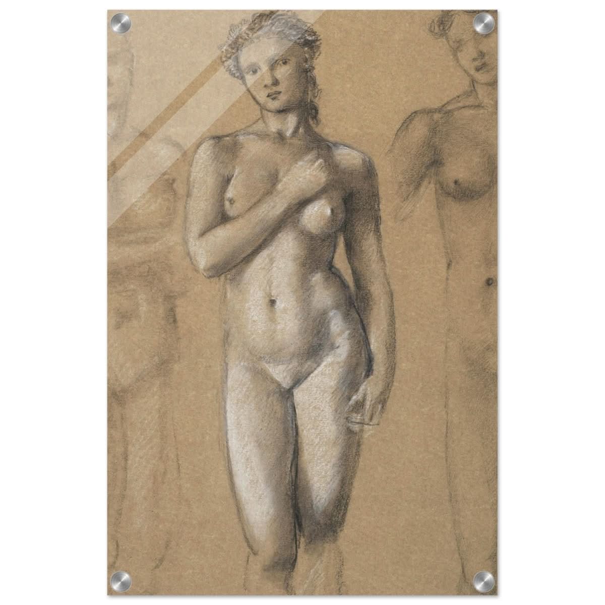 Female Nude Three Studies by Sir Edward Burne - Jones | Vintage wall art print - Acrylic Print - 40x60 cm / 16x24″ - 
