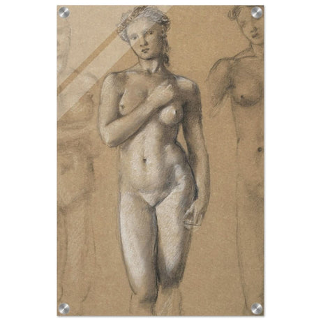 Female Nude Three Studies by Sir Edward Burne - Jones | Vintage wall art print - Acrylic Print - 40x60 cm / 16x24″ - 