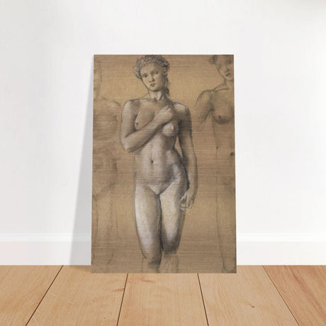 Female Nude Three Studies by Sir Edward Burne - Jones | Vintage wall art print - Brushed Aluminum Print - 30x45 cm / 12x18″ - 
