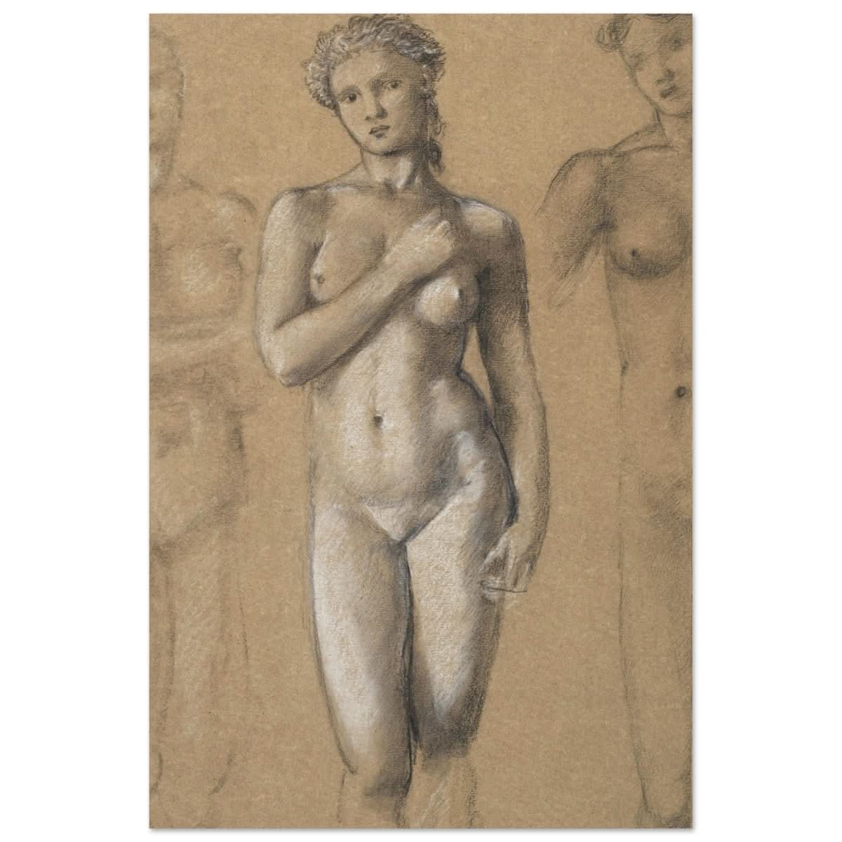 Female Nude Three Studies by Sir Edward Burne - Jones | Vintage wall art print - Aluminum Print - 60x90 cm / 24x36″ - 