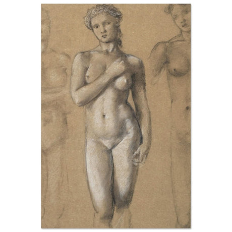 Female Nude Three Studies by Sir Edward Burne - Jones | Vintage wall art print - Aluminum Print - 60x90 cm / 24x36″ - 