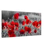 "Field of Remembrance" – Red Poppies in Monochrome Meadow | Elegant Floral Wall Art Print - 40x80 cm / 16x32″ - 
