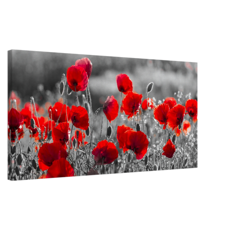 "Field of Remembrance" – Red Poppies in Monochrome Meadow | Elegant Floral Wall Art Print - 40x80 cm / 16x32″ - 