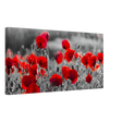 "Field of Remembrance" – Red Poppies in Monochrome Meadow | Elegant Floral Wall Art Print - 30x60 cm / 12x24″ - 