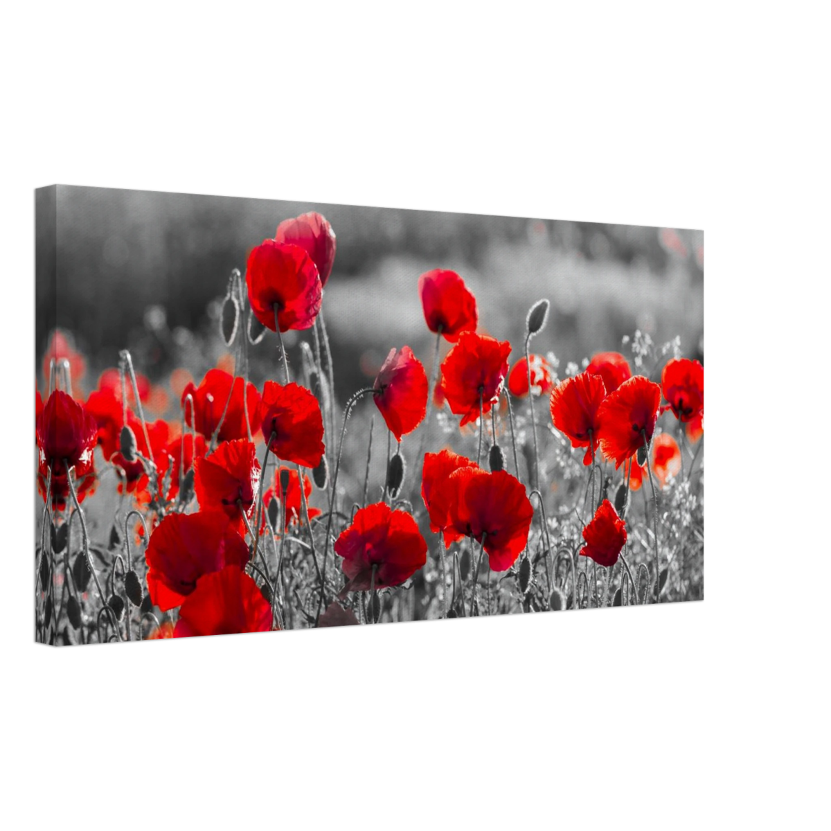 "Field of Remembrance" – Red Poppies in Monochrome Meadow | Elegant Floral Wall Art Print - 30x60 cm / 12x24″ - 