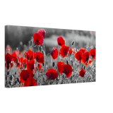 "Field of Remembrance" – Red Poppies in Monochrome Meadow | Elegant Floral Wall Art Print - 30x60 cm / 12x24″ - 