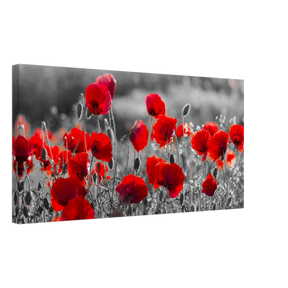 "Field of Remembrance" – Red Poppies in Monochrome Meadow | Elegant Floral Wall Art Print - 30x60 cm / 12x24″ - 