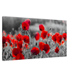 "Field of Remembrance" – Red Poppies in Monochrome Meadow | Elegant Floral Wall Art Print - 50x100 cm / 20x40″ - 