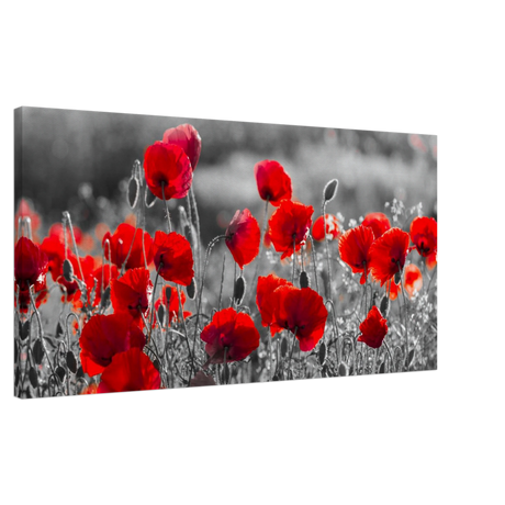 "Field of Remembrance" – Red Poppies in Monochrome Meadow | Elegant Floral Wall Art Print - 50x100 cm / 20x40″ - 