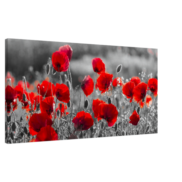 "Field of Remembrance" – Red Poppies in Monochrome Meadow | Elegant Floral Wall Art Print - 50x100 cm / 20x40″ - 