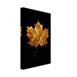 Gold & Black Botanical Leaf Wall Art Set – Premium Stretched Canvas Prints - Design Option 1 - 20x30 cm / 8x12″ - 