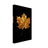 Gold & Black Botanical Leaf Wall Art Set – Premium Stretched Canvas Prints - Design Option 1 - 20x30 cm / 8x12″ - 