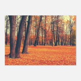 “Golden Silence in Autumn – A Tranquil Forest Escape” | Wall Art Print - Aluminum Print - 70x100 cm / 28x40″ - 