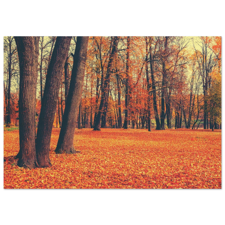 “Golden Silence in Autumn – A Tranquil Forest Escape” | Wall Art Print - Wood Prints - 70x100 cm / 28x40″ - 