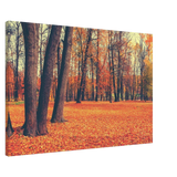 “Golden Silence in Autumn – A Tranquil Forest Escape” | Wall Art Print - Canvas - 60x90 cm / 24x36″ - 