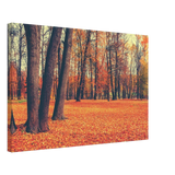 “Golden Silence in Autumn – A Tranquil Forest Escape” | Wall Art Print - Canvas - 40x60 cm / 16x24″ - 