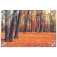 “Golden Silence in Autumn – A Tranquil Forest Escape” | Wall Art Print - Acrylic Print - 20x30 cm / 8x12″ - 