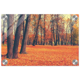 “Golden Silence in Autumn – A Tranquil Forest Escape” | Wall Art Print - Acrylic Print - 20x30 cm / 8x12″ - 