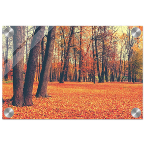 “Golden Silence in Autumn – A Tranquil Forest Escape” | Wall Art Print - Acrylic Print - 20x30 cm / 8x12″ - 