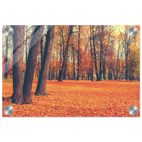 “Golden Silence in Autumn – A Tranquil Forest Escape” | Wall Art Print - Acrylic Print - 20x30 cm / 8x12″ - 