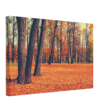 “Golden Silence in Autumn – A Tranquil Forest Escape” | Wall Art Print - Canvas - 30x45 cm / 12x18″ - 
