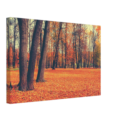 “Golden Silence in Autumn – A Tranquil Forest Escape” | Wall Art Print - Canvas - 30x45 cm / 12x18″ - 