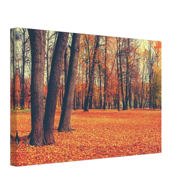 “Golden Silence in Autumn – A Tranquil Forest Escape” | Wall Art Print - Canvas - 30x45 cm / 12x18″ - 