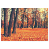 “Golden Silence in Autumn – A Tranquil Forest Escape” | Wall Art Print - Fine Art Poster - 70x100 cm / 28x40″ - 