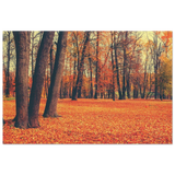 “Golden Silence in Autumn – A Tranquil Forest Escape” | Wall Art Print - Wood Prints - 20x30 cm / 8x12″ - 