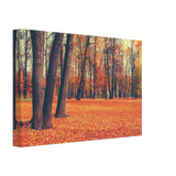 “Golden Silence in Autumn – A Tranquil Forest Escape” | Wall Art Print - Canvas - 20x30 cm / 8x12″ - 