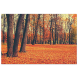 “Golden Silence in Autumn – A Tranquil Forest Escape” | Wall Art Print - Wood Prints - 30x45 cm / 12x18″ - 