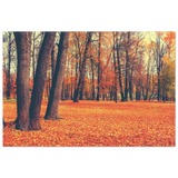 “Golden Silence in Autumn – A Tranquil Forest Escape” | Wall Art Print - Fine Art Poster - 30x45 cm / 12x18″ - 