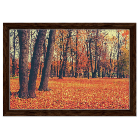 “Golden Silence in Autumn – A Tranquil Forest Escape” | Wall Art Print - Framed Canvas - 30x45 cm / 12x18″ - Dark wood frame