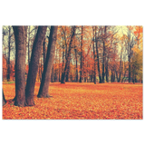“Golden Silence in Autumn – A Tranquil Forest Escape” | Wall Art Print - Fine Art Poster - 40x60 cm / 16x24″ - 
