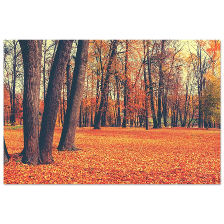 “Golden Silence in Autumn – A Tranquil Forest Escape” | Wall Art Print - Fine Art Poster - 40x60 cm / 16x24″ - 