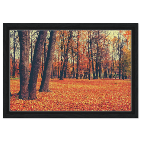 “Golden Silence in Autumn – A Tranquil Forest Escape” | Wall Art Print - Framed Canvas - 30x45 cm / 12x18″ - Black frame