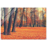 “Golden Silence in Autumn – A Tranquil Forest Escape” | Wall Art Print - Acrylic Print - 70x100 cm / 28x40″ - 